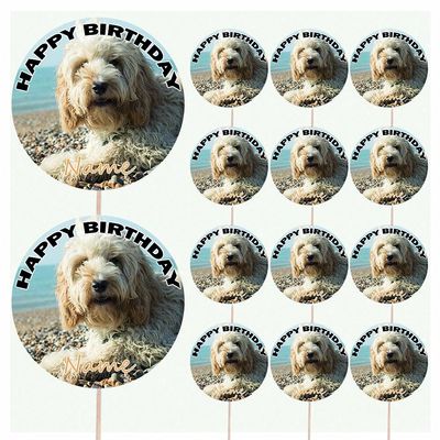 AK Giftshop Cockapoo Personalised Food & Cake Toppers Picks Birthday Decorations - (Pack of 14)