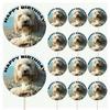 AK Giftshop Cockapoo Personalised Food & Cake Toppers Picks Birthday Decorations - (Pack of 14) view 1