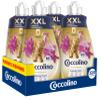Coccolino Concentrated Softener Sandal & Honeysuckle 8 Liters 320 Washes, 4x80 Washes view 1