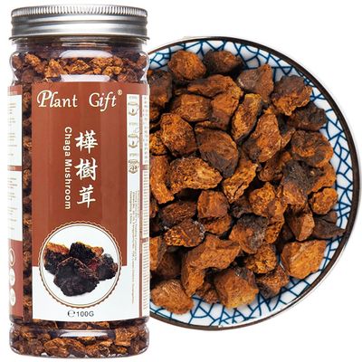 Plant Gift Raw Organic Wild Chaga Mushroom Tea Chunks 125G/4.4oz 100% Natural Hand-Harvested Chaga, Inonotus obliquus
