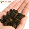 Plant Gift Raw Organic Wild Chaga Mushroom Tea Chunks 125G/4.4oz  100% Natural Hand-Harvested Chaga, Inonotus obliquus view 4