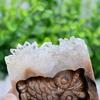 Lendiecrystal 1pc Natural Crystal Cluster Owl Skull Quartz Crystal Hand Carved Point Specimen Reiki view 4