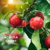 Organic Acerola Vitamin C  80mg (100% NRV) Natural Vitamin C  90 Vegan Capsules  25:1 High Strength Acerola Extract  3 Months Supply  by Alpha01 view 4