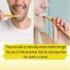 Nature Blaze Natural Traditional Miswak (sewak) Peelu Chewing Stick Toothbrush for Whiter Teeth (20) view 4