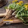 Organic Dandelion Root 1400mg  120 Vegan Capsules  High Strength Taraxacum Officinale (2 Months Supply)  Resealable and Recyclable Pouch by Alpha01 view 4