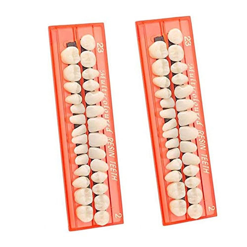 56 Pieces Resin Teeth Model Durable Dentures Universal Resin False Teeth Dental Material Teeth Teaching Model Dedicated Teeth Halloween Horror Teeth