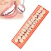 56 Pieces Resin Teeth Model Durable Dentures Universal Resin False Teeth Dental Material Teeth Teaching Model Dedicated Teeth Halloween Horror Teeth view 2
