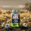 ORZAX Black Seed Oil Capsules 1000mg - High Strength 20mg Thymoquinone - 90 Cold Pressed Nigella Sativa Softgels - Supports Immune, Hair, Skin, and Joint Health view 3
