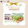 FINE Japan Japanese Vegan Vegetable Soup, Vegetarian Soup, Non-GMO Allergen Free 3.1 oz 88 gr (5 Packets / 5 Servings) Pack of 3 view 4