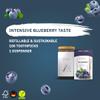 Wunder Flavoured Toothpicks - Blueberry - Refillpack - Plastic-Free Gum Alternative - Stop Nail Biting - Fresh Breath - Teeth Cleaning to Go - Sugar-Free, Vegan view 3