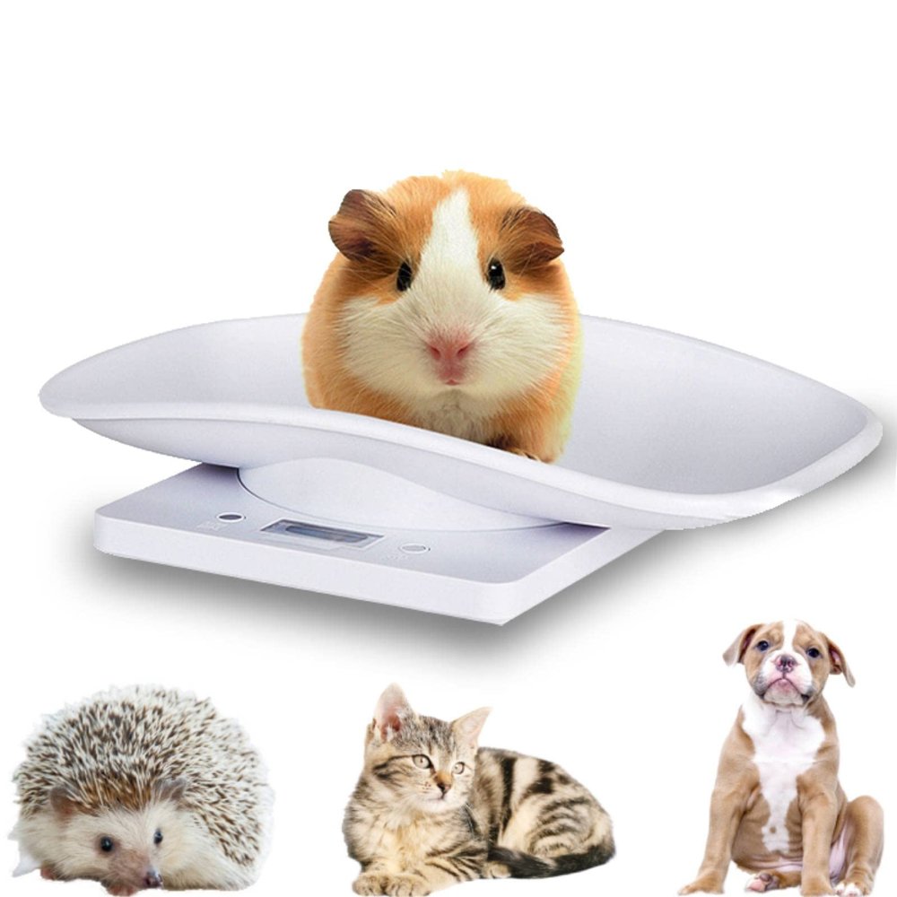 Gaeirt Digital Pet Scale, Multifunction Baby Scale with High Accuracy Weighing Sensor and 4 Types of Units Infant Scale for Toddler Puppy Cat, g/ml/oz/lb.oz