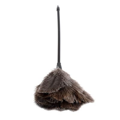 Tyenaza Ostrich Feather Duster - Mini Reusable Long Handle Ostrich Feather Duster Attracts Dust Particles for Books Keyboard Office Home