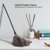 Tyenaza Ostrich Feather Duster - Mini Reusable Long Handle Ostrich Feather Duster Attracts Dust Particles for Books Keyboard Office Home view 3