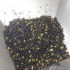 3 cans of 3 liters: - Oil obtained only from The Mechanical Processing of The Olives view 4