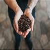 The Whale Coffee Blue Blend, Light Roast, Coffee Beans, 250g, % of Sales donated to WDC view 4