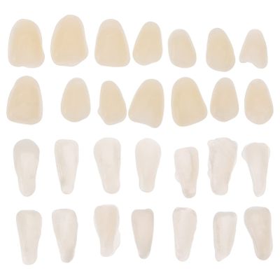Healifty 100PCS/ Set Temporary Tooth Repair Kit Teeth Veneer Repair Kit Tooth Filler Kit Dental Temporary Crown for Fix Filling The Missing Broken Tooth Dental Gaps
