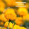 Lutein & Zeaxanthin with BioPerine  40mg Lutein 2.5mg Zeaxanthin  90 Vegan Capsules  Natural Carotenoids from Marigold Extract  Resealable and Recyclable Pouch by Alpha01 view 4