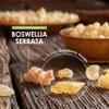 Boswellia Serrata Extract 3000mg  65% Boswellic Acid (150mg per Capsule) - 60 Capsules (2 Months Supply)  Resealable and Recyclable Pouch by Alpha01 view 4