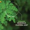 Organic Moringa 2100mg - 60 Vegan Capsules - Raw Moringa Oleifera Leaf - Rich in Vitamins, Antioxidants & Amino Acid  Resealable and Recyclable Pouch by Alpha01 view 4