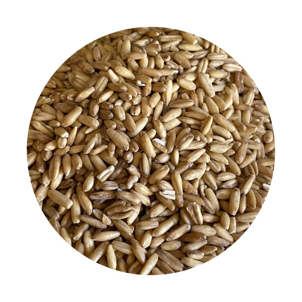 Oat Groats for Porridge, Cooking & Milling Premium Whole Oats | Wholesome, Fibre-Rich Grain (10kg)
