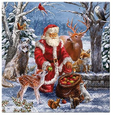 Fairytale Christmas Tissue Paper Napkins 33cm x 33cm Serviettes - Pack of 20 (SantaS Gifts)