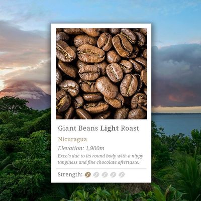 Fuji - Speciality Coffee - Nicaragua Light Roast  Roastmasters Blend - Whole Bean - 250g (15 Cups)