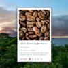 Fuji - Speciality Coffee - Nicaragua Light Roast  Roastmasters Blend - Whole Bean - 250g (15 Cups) view 1
