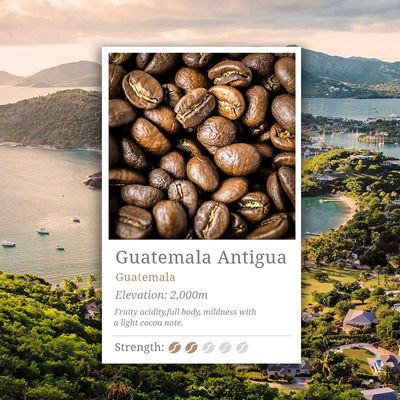 Fuji - Speciality Coffee - Guatemala Antigua - Whole Bean - 250g (15 Cups)