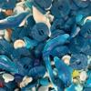Blue Sweet Mix 1kg Share Bag by The Gourmet Sweet Company view 3