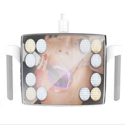LMEILI 36W LED Shadowless Dental Lamp with 12 High Power LED Bulbs Touch Button And Sensor Dual Control Switch Adjustable 22MM