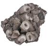 1Pc Natural Raw Calcite Crystal Cluster Gem Stone Mineral Specimen Irregular Stone-80-150 Grams view 4