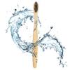 48 Count (4 Boxes of 12) Bamboo Toothbrush I Soft Bristles Best for Sensitive Gums I Charcoal I Vegan I Natural Wood I BPA Fee I Recyclable I Compostable I Biodegradable | Environmentally Friendly view 4