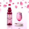 Mr. Kool Rose Petal Syrup 750 ml Falooda Syrup Gluten Free Rose Syrup 100% Vegan Low Fat A Perfect Drink For House Parties, Picnics, Everyone's Delight Sharbat Syrup view 2