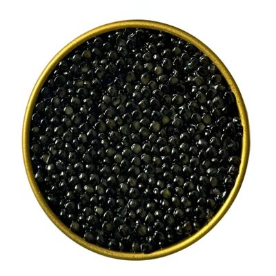 50g White Sturgeon Caviar | Acipenser Transmontanus | Fish Caviar | Malossol Caviar | | Brand - TSARINE Caviar (50, Grams)