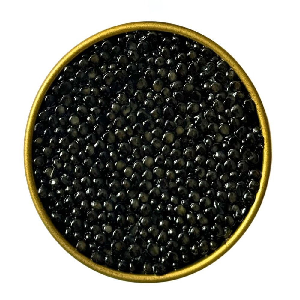 50g White Sturgeon Caviar | Acipenser Transmontanus | Fish Caviar | Malossol Caviar | | Brand - TSARINE Caviar (50, Grams)