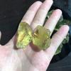 100G 100G Natural Raw Yellow Citrine Quartz Crystal Rough Stone Specimen Healing Crystal Love Natural Stones and Minerals Spiritual Support (Size : 100G 3 5cm) view 4