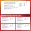 Doctor's Best, Glucosamine-Chondroitin MSM, with OptiMSM, 240 Capsules, Laboratory Tested, SOYA Free, Gluten Free, Non-GMO view 4