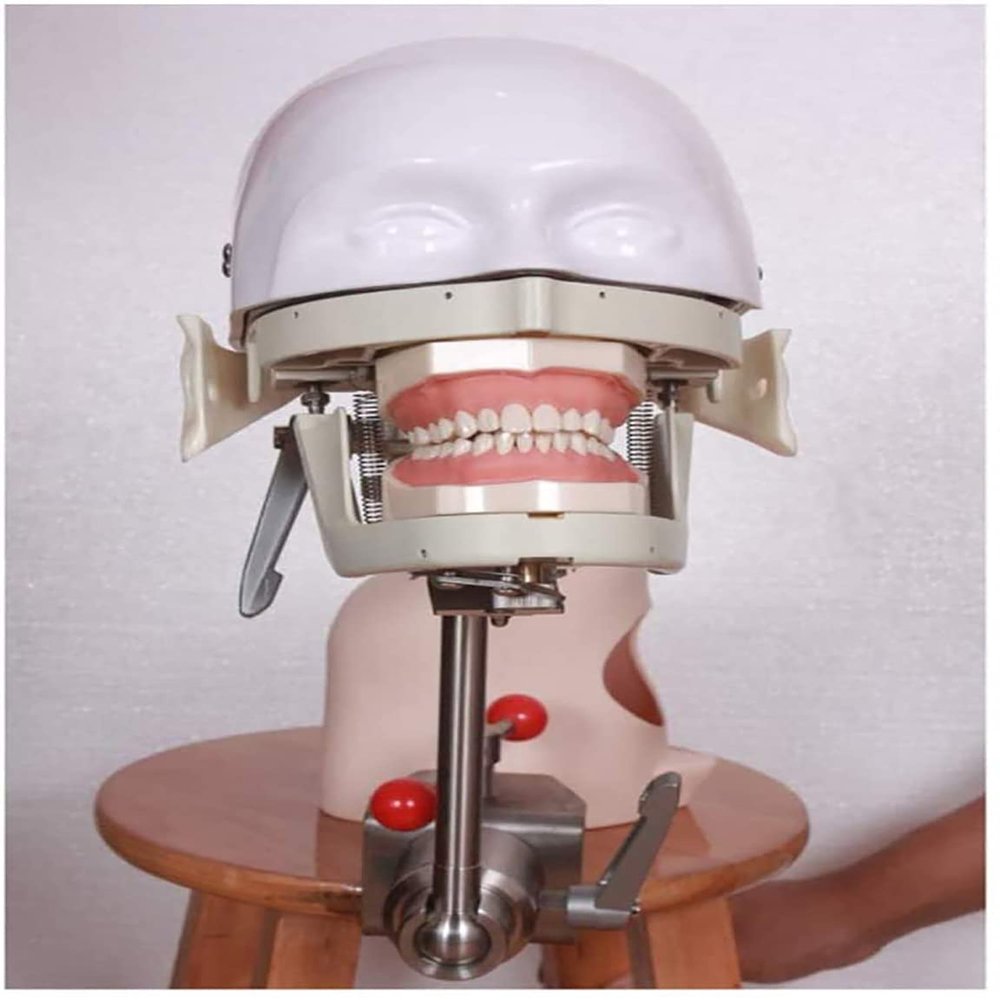 LMEILI Dental Simulator System Dental Simulator Dental Phantom Head Manikin Phantom Bench Mount Fix on Table for Training and Teaching