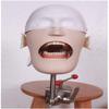 LMEILI Dental Simulator System Dental Simulator Dental Phantom Head Manikin Phantom Bench Mount Fix on Table for Training and Teaching view 4