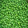Batch of 50 Seeds of Pea Garden King of The Preserves - Variety Unavoidable and Tasty - Pods 9 to 10 peas - 100% Natural - Excellent Quality - 100% Reproducible view 2