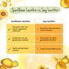 Vegavero Organic Lecithin Oil 1800 mg | Highly Dosed | Sourced from Sunflowers | 120 Capsules | NO Additives | Vegan | 15% Phosphatidylcholine view 4