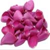 Hot Pink Rose Petals - 1.8Ltr/15g view 1