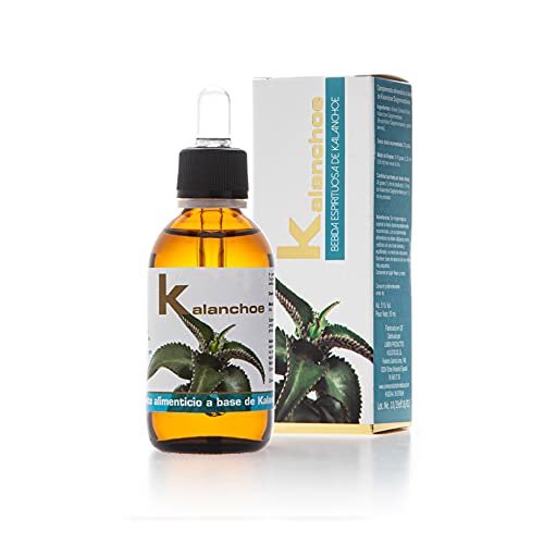 Pack 20 Units KALANCHOE Extract 50 ML