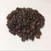 Coffee Beans Brazilian 100% Arabica Roasted Premium Quality Ethically Sourced Free UK P&P (1900g) view 1