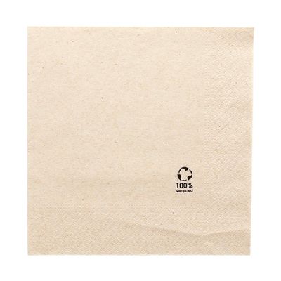 100 Units - Ecolabel 2-Layer Napkins 18 g/m2 30 x 30 cm Natural Tissue Recycled