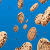 Lenny & Larry's Chocolate Chip The Complete Cookie, 113g, Pack of 12 view 4