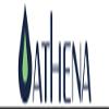 HighStreetHydro JUNGLE BOYS! Athena Cleanse 32oz (If You Know You Know) view 3