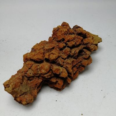 1 pc 70-180g Natural Dinasour Poop Crystal Rough Raw Stone Rock Specimen from Madagascar-70-80g