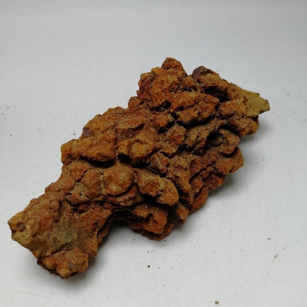 1 pc 70-180g Natural Dinasour Poop Crystal Rough Raw Stone Rock Specimen from Madagascar-70-80g