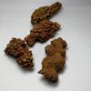 1 pc 70-180g Natural Dinasour Poop Crystal Rough Raw Stone Rock Specimen from Madagascar-70-80g view 4